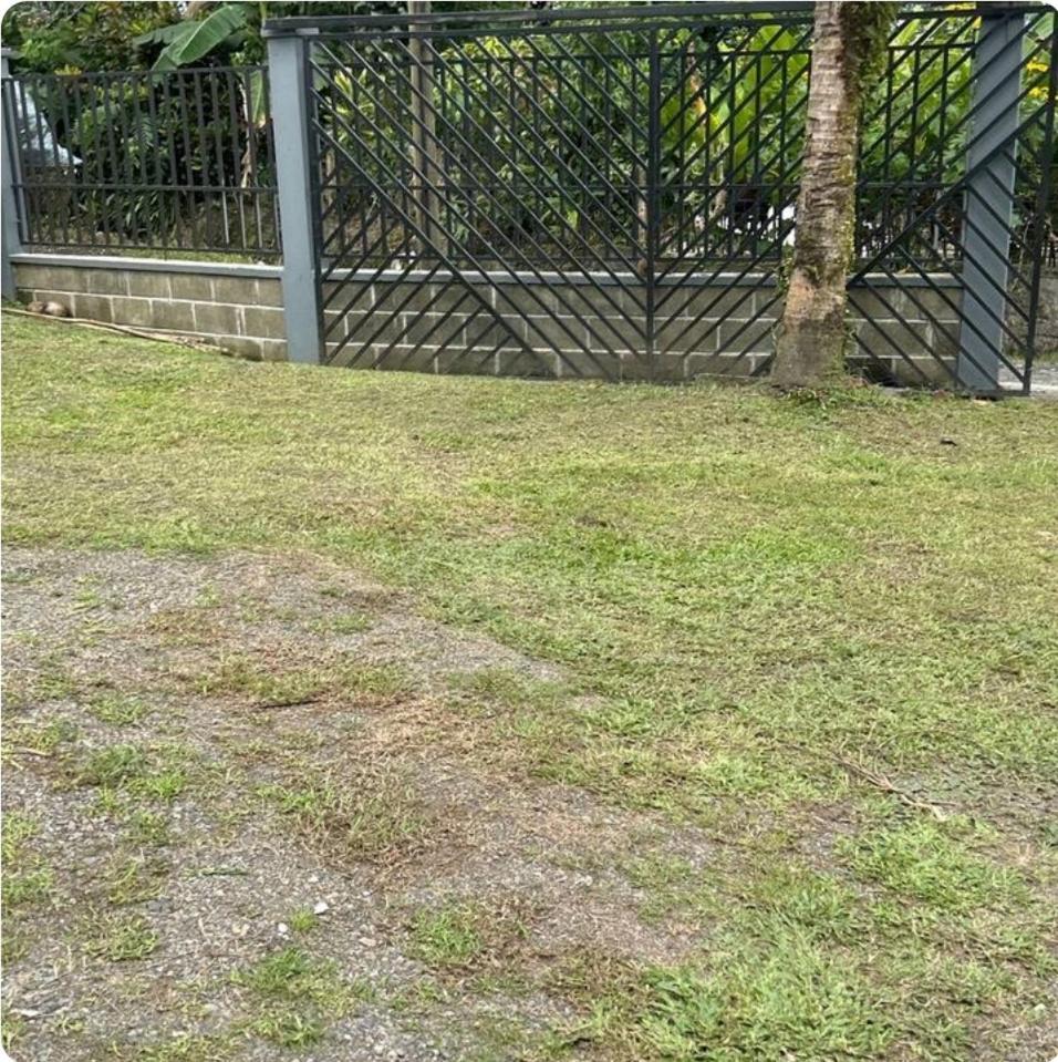 Country Villa La Fortuna Ruang foto