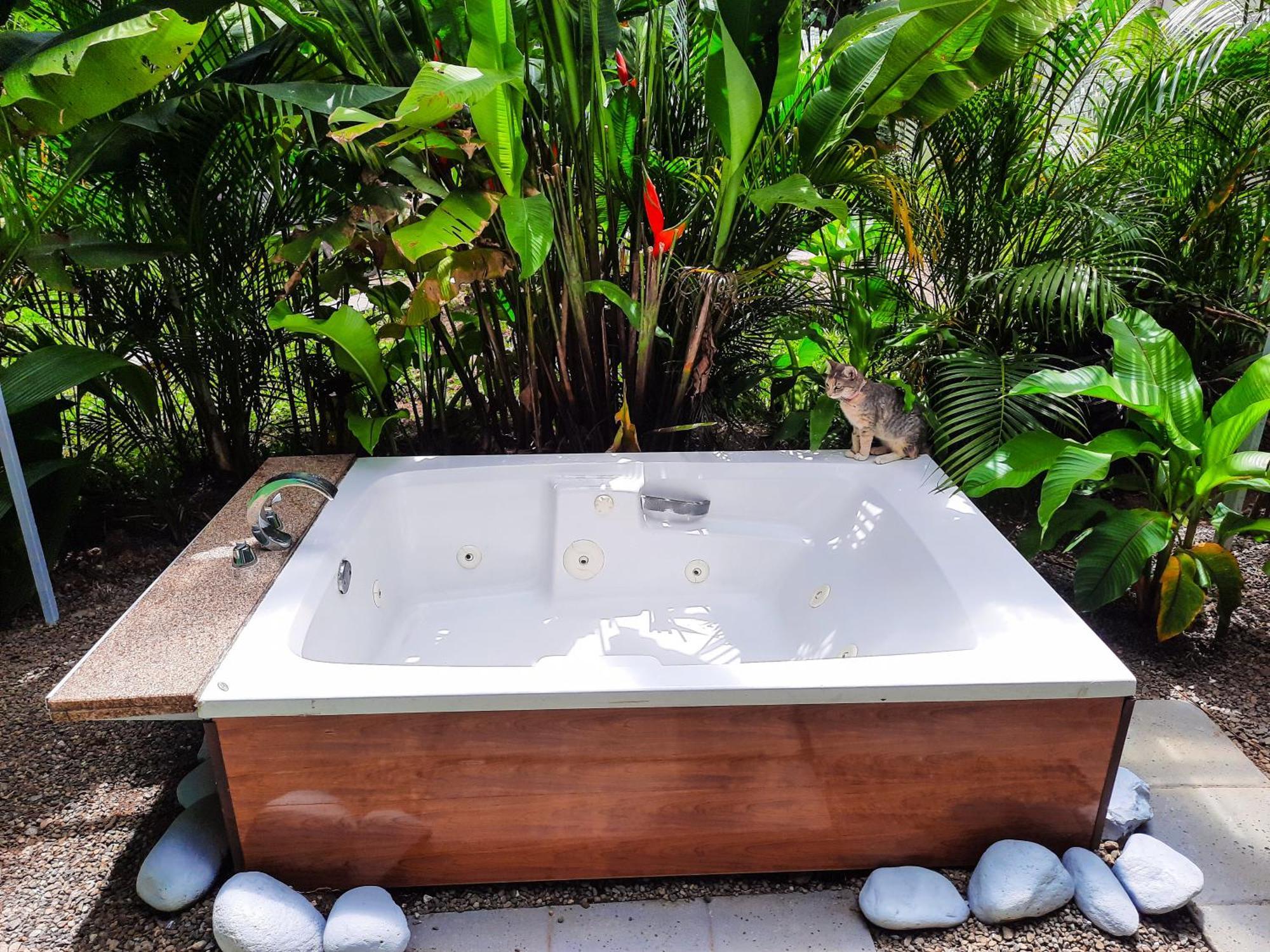 Country Villa La Fortuna Ruang foto